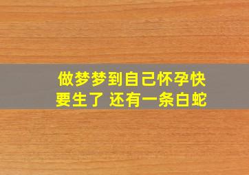 做梦梦到自己怀孕快要生了 还有一条白蛇